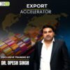 EXPORT ACCELERATOR